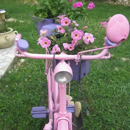 Campo Aperto * Belvedere Ostrense