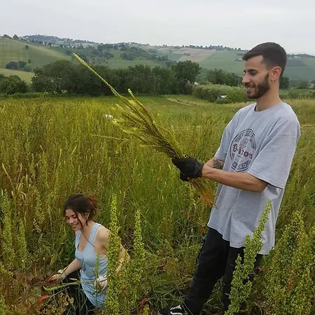 Nocleg ze śniadaniem Campo Aperto