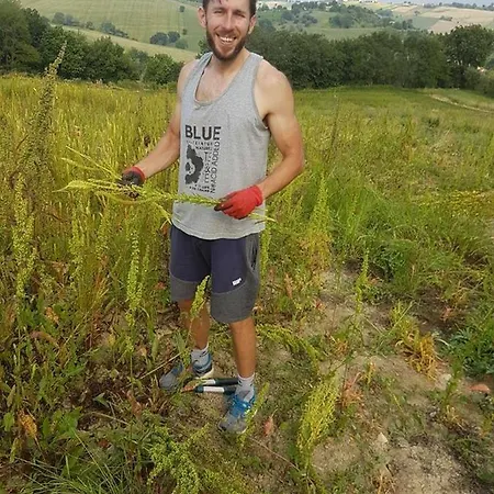 Campo Aperto Belvedere Ostrense