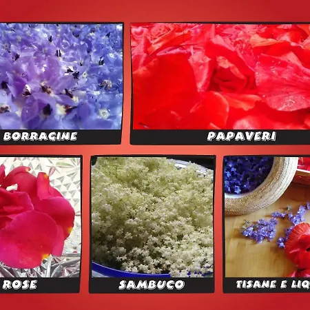 Campo Aperto 住宿加早餐酒店