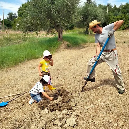 Campo Aperto Belvedere Ostrense