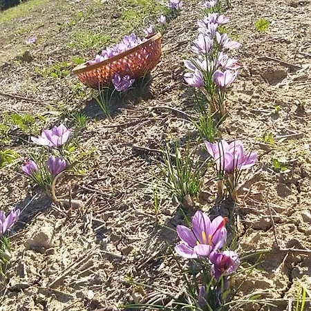 Campo Aperto Nocleg ze śniadaniem *