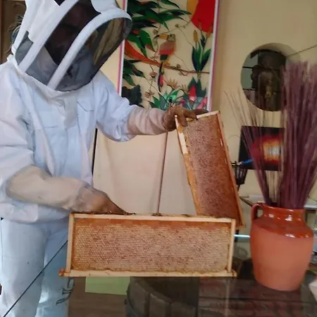 住宿加早餐酒店 Campo Aperto *