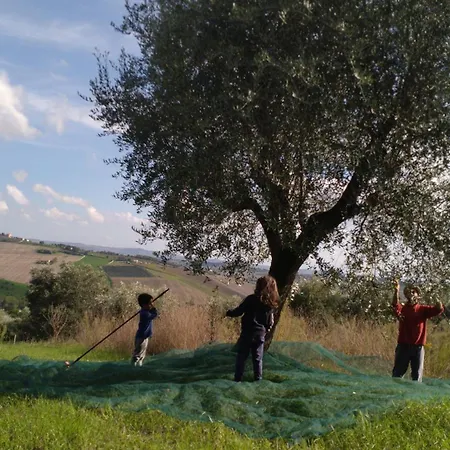Campo Aperto Bed & Breakfast *