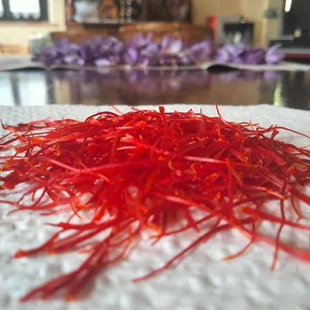 Campo Aperto * Belvedere Ostrense