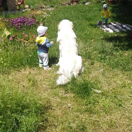 Campo Aperto 住宿加早餐酒店 *