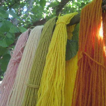 住宿加早餐酒店 Campo Aperto Belvedere Ostrense