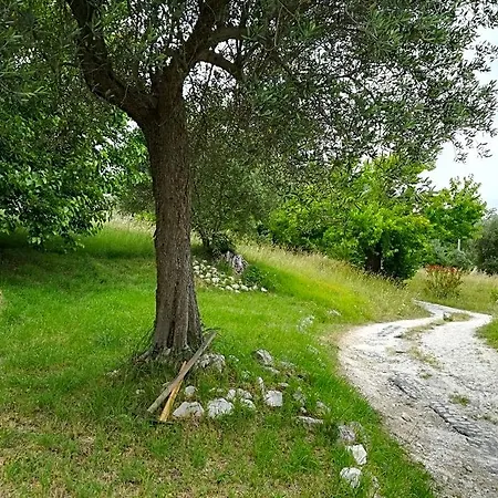 Campo Aperto * Belvedere Ostrense