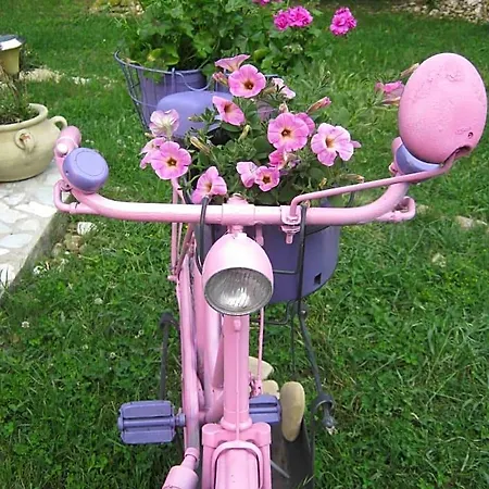 Bed & Breakfast Campo Aperto Belvedere Ostrense
