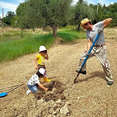 Campo Aperto Oda ve Kahvaltı *