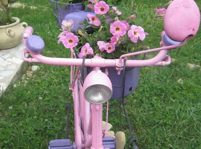 Campo Aperto * Belvedere Ostrense