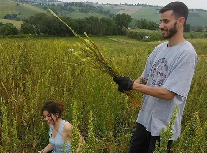 Bed & Breakfast Campo Aperto