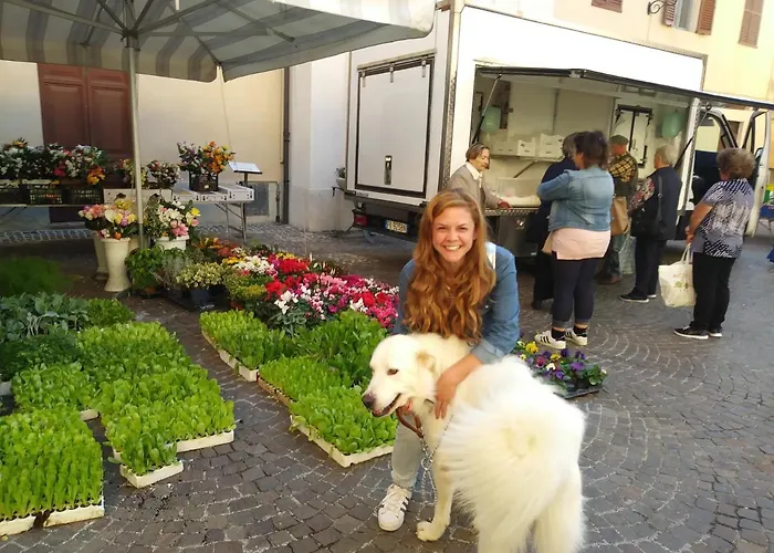 Bed & Breakfast Campo Aperto *