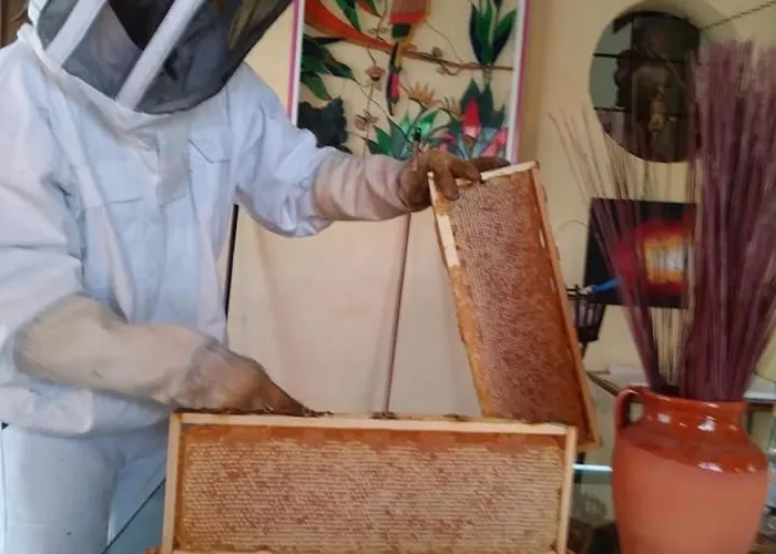 Bed & Breakfast Campo Aperto *