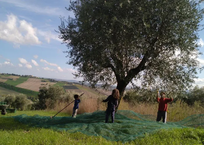 Campo Aperto Bed & Breakfast *