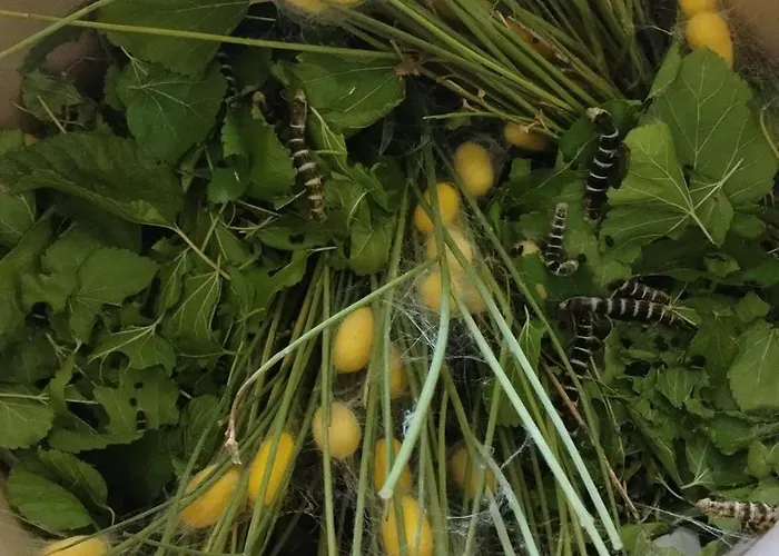 Bed & Breakfast Campo Aperto *