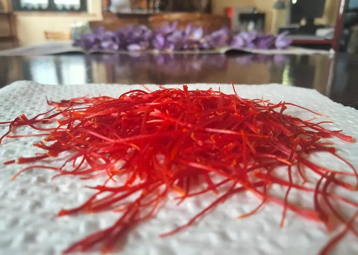 Campo Aperto * Belvedere Ostrense