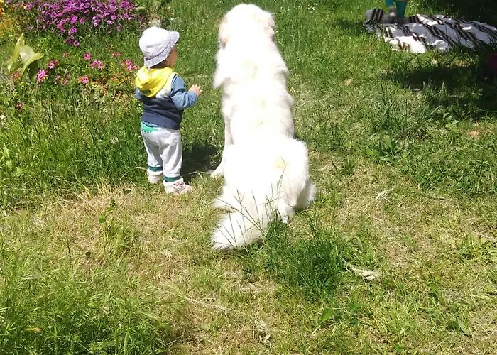 Campo Aperto Bed & Breakfast *