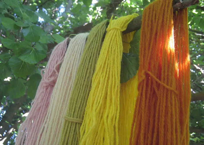 Bed & Breakfast Campo Aperto Belvedere Ostrense